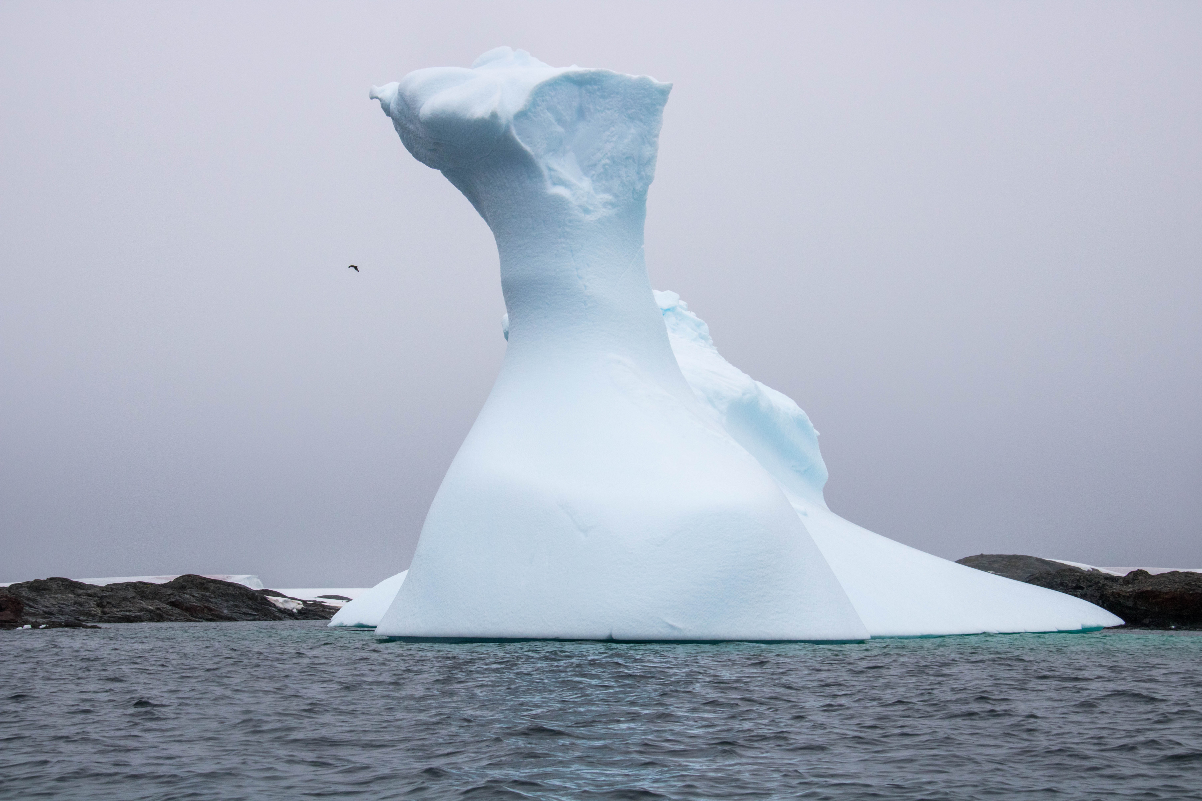 penola strait (3).webp
